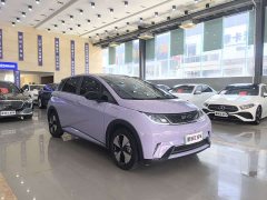 BYD Dolphin 420km Fashion Edition - ფოტო 3