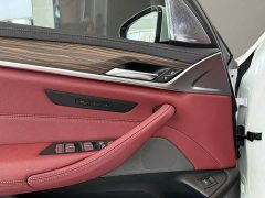 BMW 5 Series 530Li Premier M Sport Package - ფოტო 14