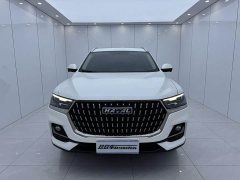 Haval H6 National Trend Edition 1.5T Automatic Urban Version - ფოტო 2