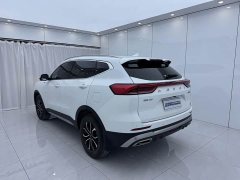 Haval H6 National Trend Edition 1.5T Automatic Urban Version - ფოტო 4