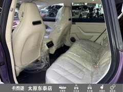Luxeed Zhiji S7 Pro - ფოტო 17