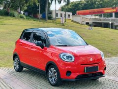 Leapmotor T03 2021 400 Micro Sugar Edition - ფოტო 3