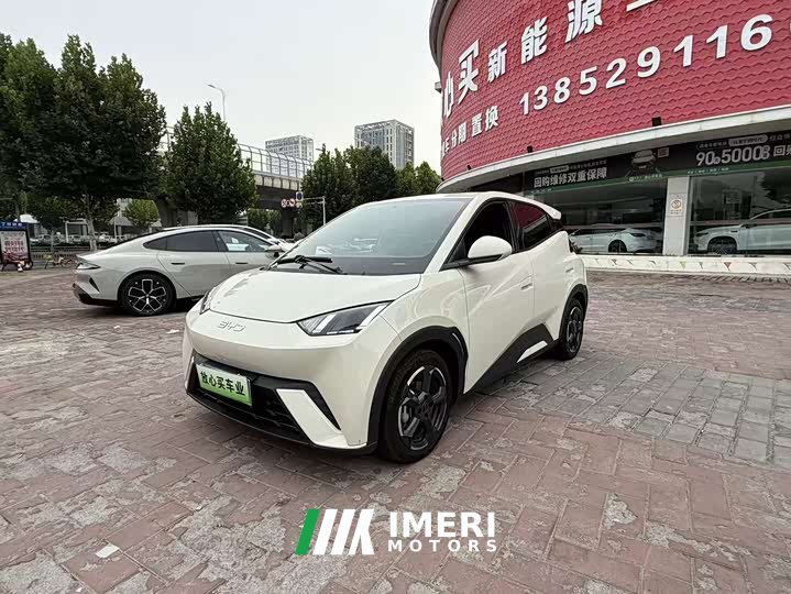 BYD Seagull 2023 Freedom Edition - ავტომობილი ჩინეთიდან