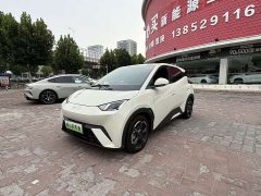 BYD Seagull 2023 Freedom Edition - ფოტო 1