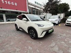 BYD Seagull 2023 Freedom Edition - ფოტო 3