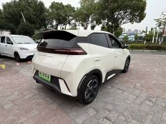 BYD Seagull 2023 Freedom Edition - ფოტო 7