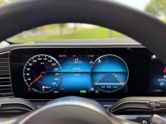 Mercedes-Benz GLS 450 4MATIC Fashion - ფოტო 11