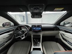 BYD Song Plus New Energy 2021 EV Premium - ფოტო 11