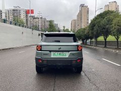 Jetour Jietu Shanhai T1 2024 150km Xianghai - ფოტო 14