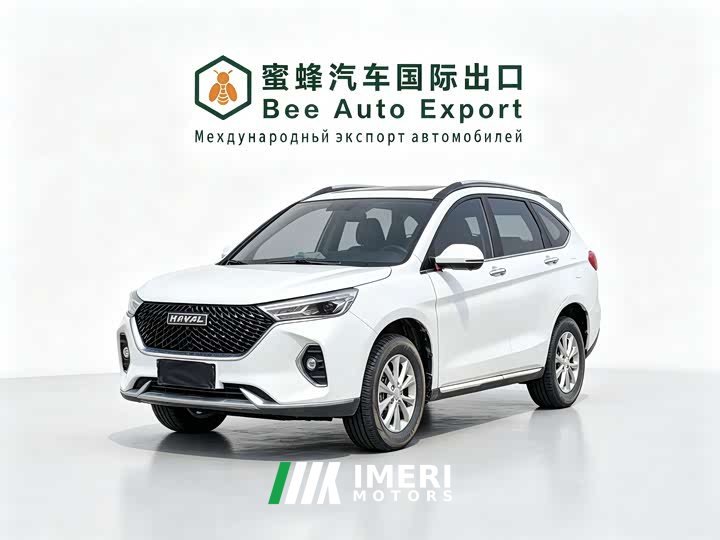 Haval M6 2021 PLUS 1.5T DCT Luxury Smart Connected Edition - ავტომობილი ჩინეთიდან