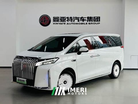 2024 WEY Shanshan New Energy Four-Wheel Drive Luxury Edition