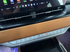 Great Wall WEY Shanshan New Energy 2023 Four-Wheel Drive Luxury Edition - ფოტო 11