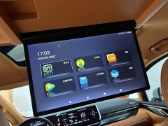 Great Wall WEY Shanshan New Energy 2023 Four-Wheel Drive Luxury Edition - ფოტო 19