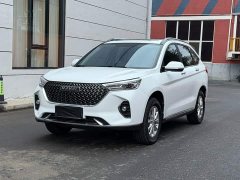 Haval M6 PLUS 1.5T Manual Luxury Smart Connected Edition - ფოტო 2