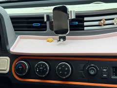 BMW Hongguang MINIEV 2022 Zizai Edition LFP Battery - ფოტო 13