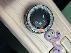 BMW Hongguang MINIEV 2022 Zizai Edition LFP Battery - ფოტო 14