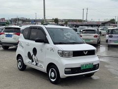 BMW Hongguang MINIEV 2022 Zizai Edition LFP Battery - ფოტო 3