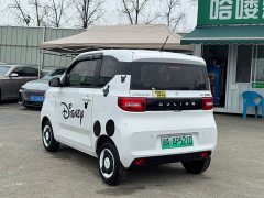 BMW Hongguang MINIEV 2022 Zizai Edition LFP Battery - ფოტო 9