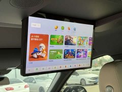 Li Auto L9 Ultra - ფოტო 10