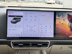Li Auto L8 Pro - ფოტო 11
