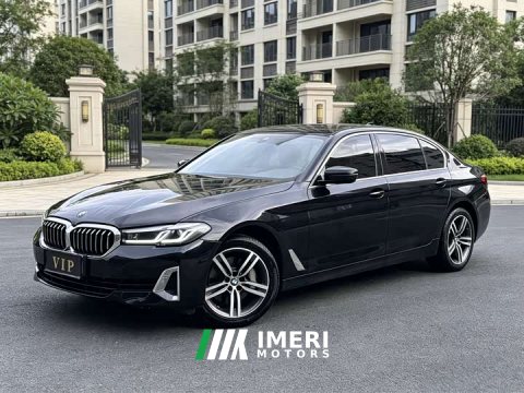 2021 BMW 5 Series 530Li Premier Luxury Package - ავტომობილი ჩინეთიდან