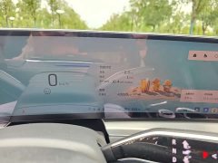 Mercedes-Benz IQ Ruige Rear-Wheel Drive Standard Range Luxury Edition - ფოტო 17