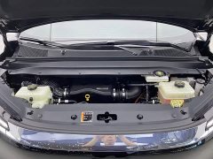 Buick Zhijing Shijia Luxury Edition - ფოტო 8