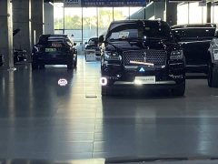 Buick Zhijing Shijia Luxury Edition - ფოტო 9