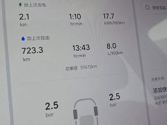 Li Auto L8 Pro - ფოტო 12