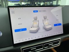 Li Auto L8 Pro - ფოტო 19
