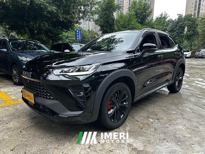 Haval H6S 2.0T Two-Wheel Drive Smart Edition