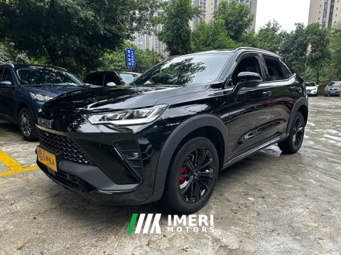 2023 Haval H6S 2022 2.0T Two-Wheel Drive Smart Edition - ავტომობილი ჩინეთიდან