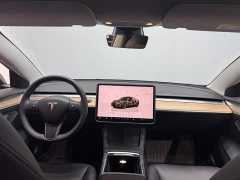 Tesla Model 3 2022 Rear-Wheel Drive - ფოტო 6