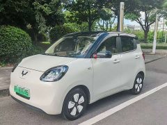 BMW Hongguang MINIEV Fourth Generation Four-Door Premium Plus Edition - ფოტო 1