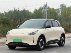 Geely Xing Yuan 310km Dream Edition - ფოტო 1