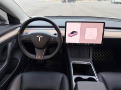 Tesla Model 3 2021 Standard Range RWD Upgrade 3D6 - ფოტო 10
