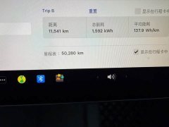 Tesla Model 3 2021 Standard Range RWD Upgrade 3D6 - ფოტო 13