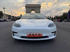 Tesla Model 3 2021 Standard Range RWD Upgrade 3D6 - ფოტო 2