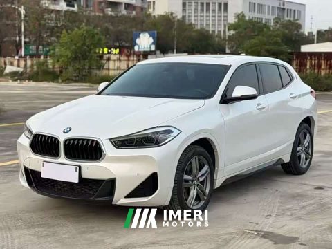 2021 BMW X2 sDrive25i Leading Edition M Off-Road Package - ავტომობილი ჩინეთიდან