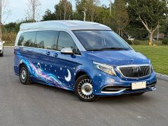 Mercedes-Benz Vito 2.0T Business Edition 7-Seater - ფოტო 2
