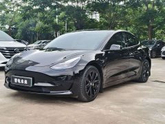 Tesla Model 3 Standard Range RWD Upgrade - ფოტო 1