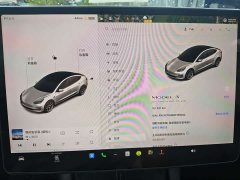 Tesla Model 3 Standard Range RWD Upgrade - ფოტო 12