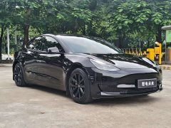 Tesla Model 3 Standard Range RWD Upgrade - ფოტო 3