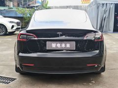 Tesla Model 3 Standard Range RWD Upgrade - ფოტო 6