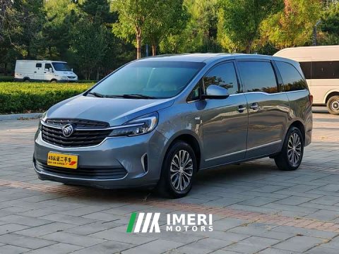 2021 Buick GL8 2022 Land Executive Cabin 652T Luxury - ავტომობილი ჩინეთიდან