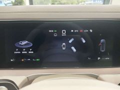 Denza BYD Denza N8L Flagship - ფოტო 11