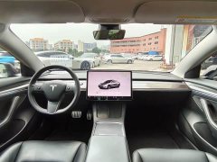 Tesla Model 3 2022 Performance All-Wheel Drive - ფოტო 12