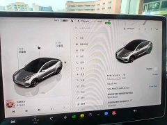 Tesla Model 3 2022 Performance All-Wheel Drive - ფოტო 14
