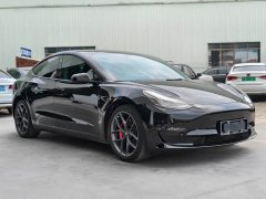 Tesla Model 3 2022 Performance All-Wheel Drive - ფოტო 3