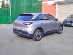 Geely Star Wish 410km Freedom Edition - ფოტო 4